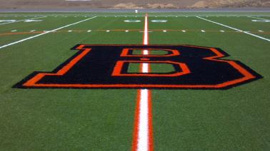 Synthetic Field Turf